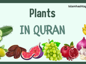 plants in the Quran