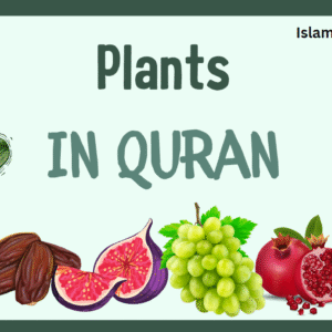 Plants in the Quran