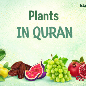 Plants in the Quran