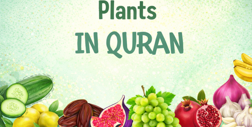 plants in quran